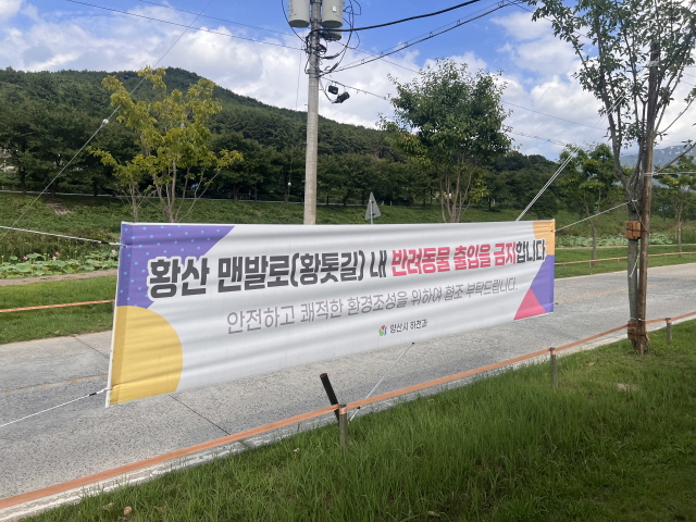 황산 맨발로의 반려동물 출입 금지 현수막